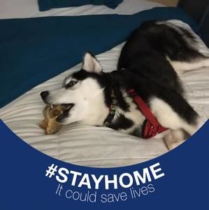 Meet your Posher, Quoc